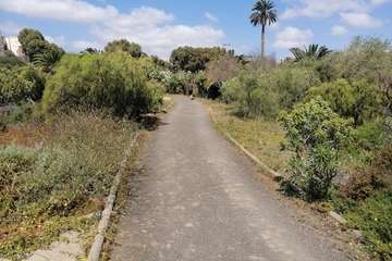 Abandono del Parque de las Mil Palmeras del Valle de Jinámar/TA.